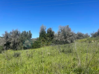 Image Slide