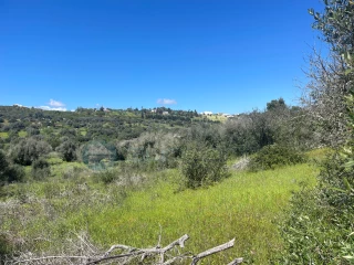 Image Slide