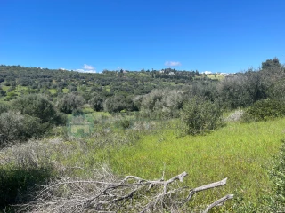 Image Slide