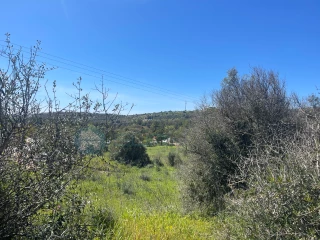 Image Slide