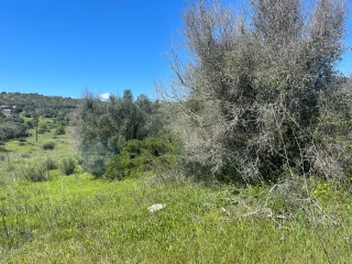 Image Slide