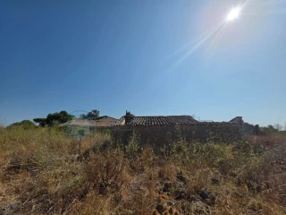 Image Slide