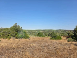 Image Slide
