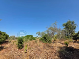 Image Slide