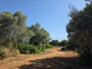 Image Slide