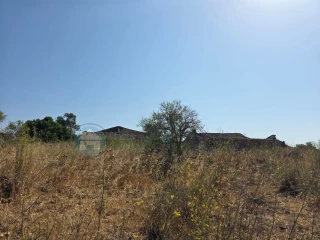 Image Slide