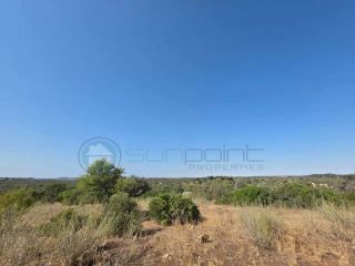 Image Slide