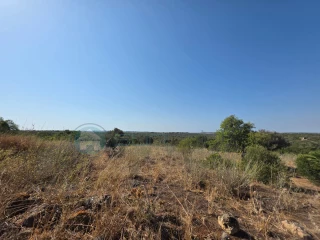 Image Slide