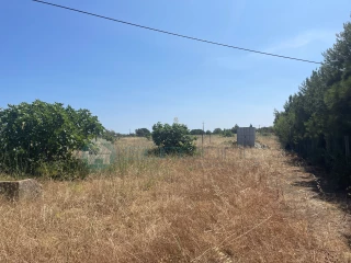 Image Slide