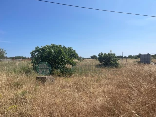 Image Slide