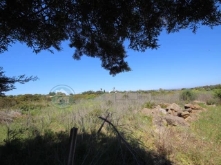 Image Slide