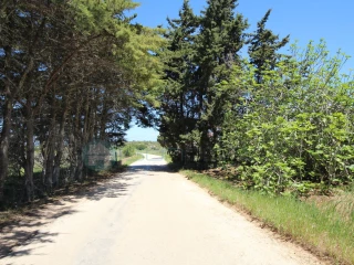 Image Slide