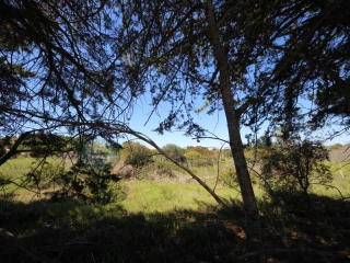 Image Slide