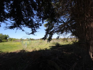 Image Slide