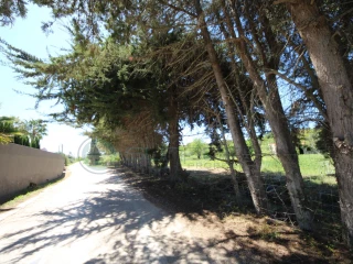 Image Slide