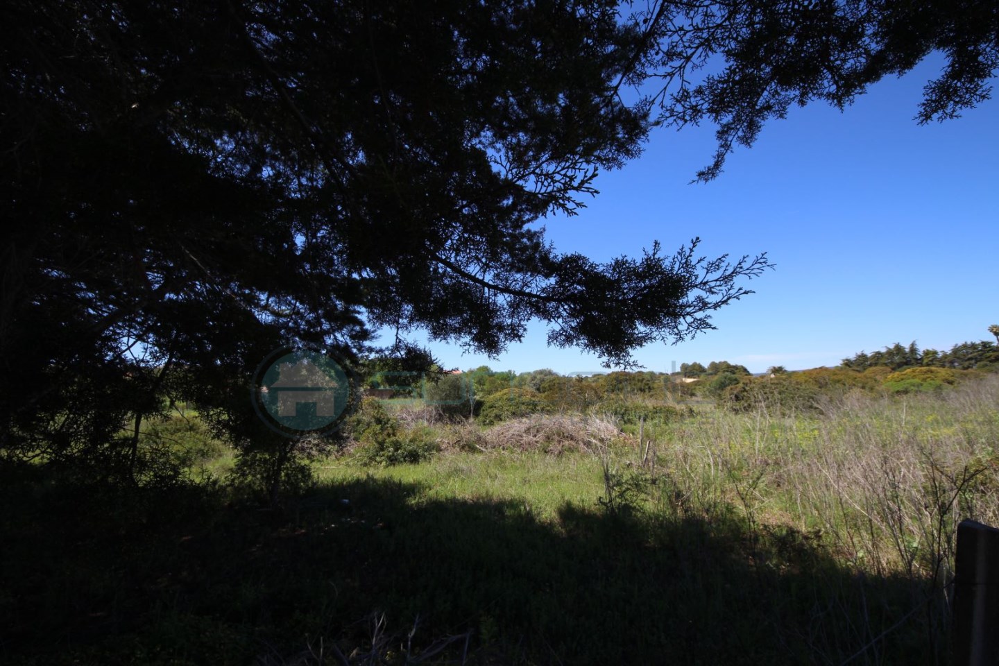 Terrain Rustique à Montinhos da Luz avec Amandiers