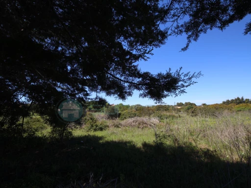 Image Slide