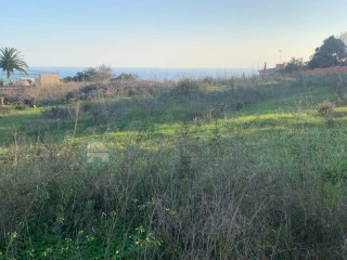 Image Slide