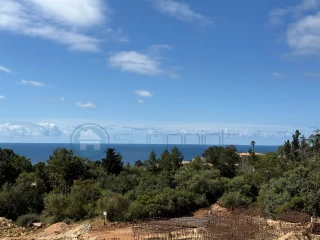 Image Slide