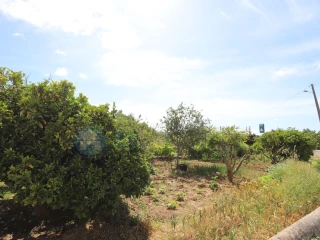Image Slide