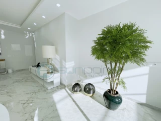 Image Slide