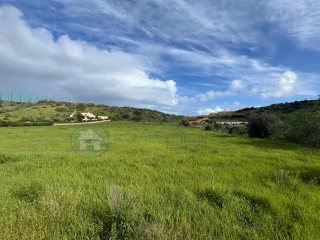 Image Slide