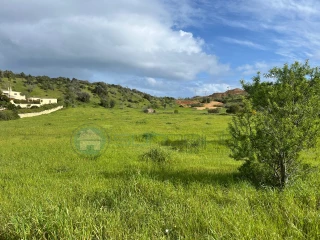Image Slide