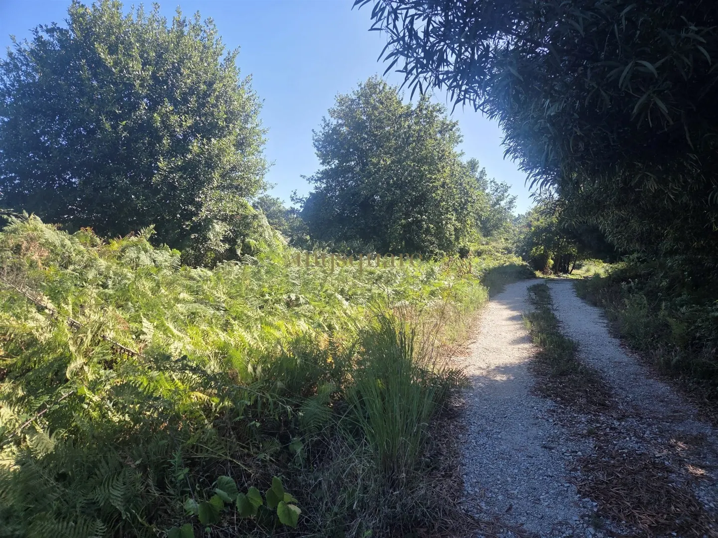 Image Slide
