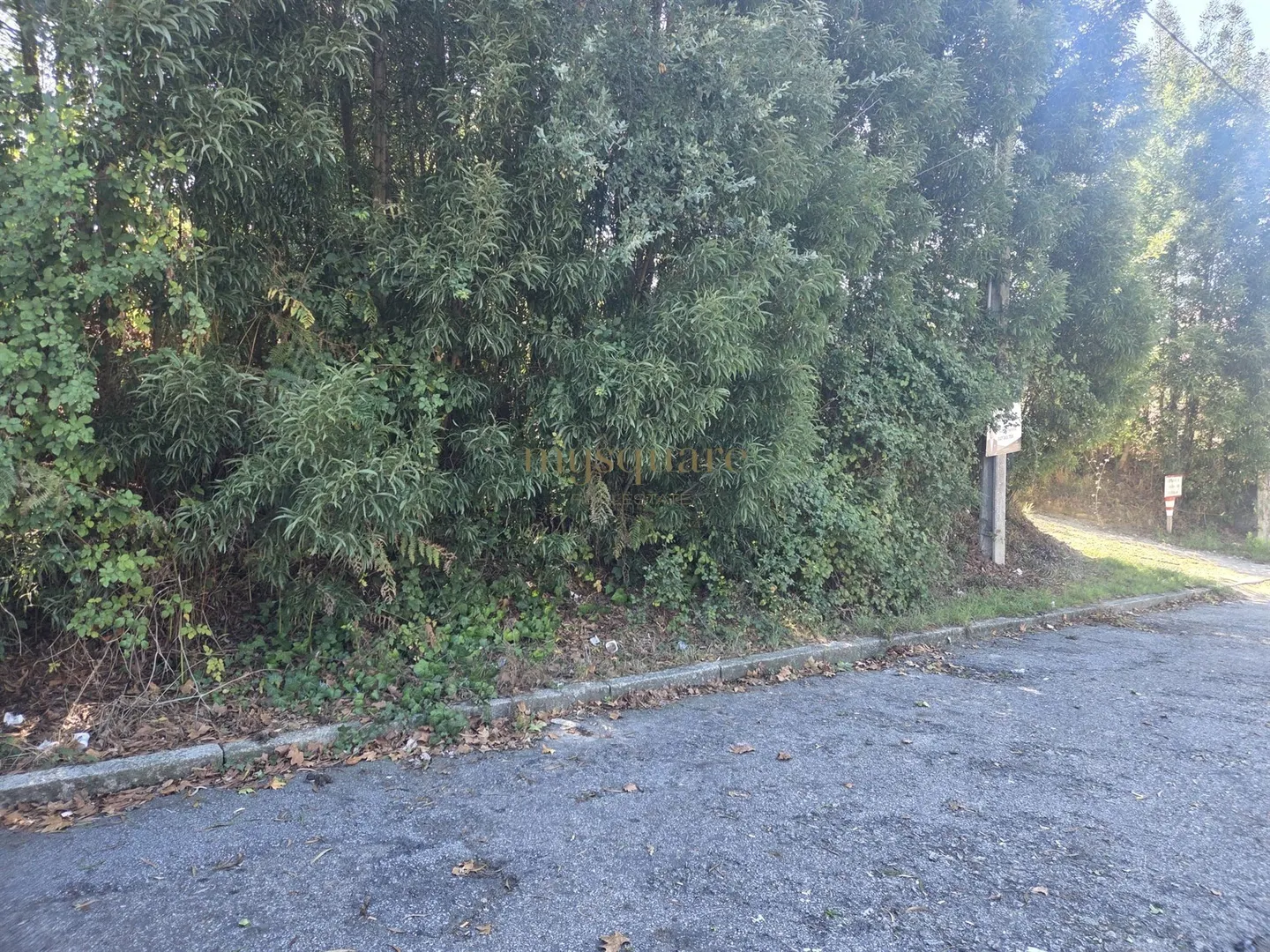 Image Slide