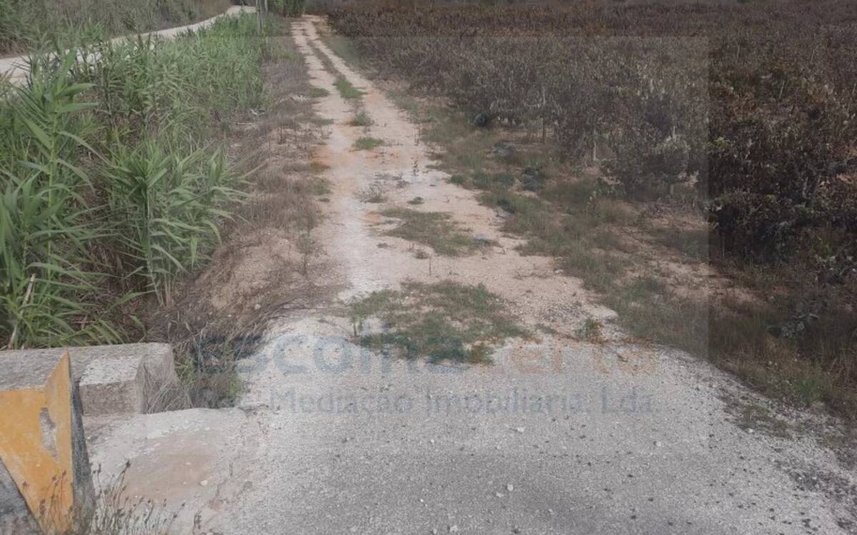 Image Slide