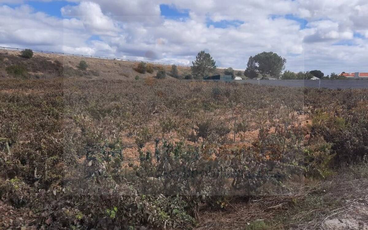 Image Slide