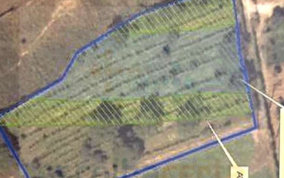 Rustic land in the centre of Quinta do Anjo