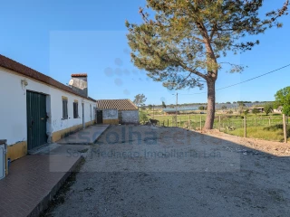Image Slide
