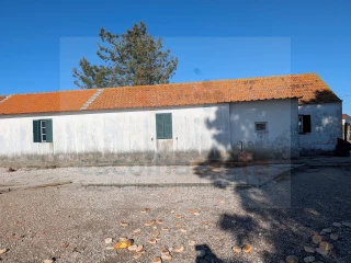 Image Slide