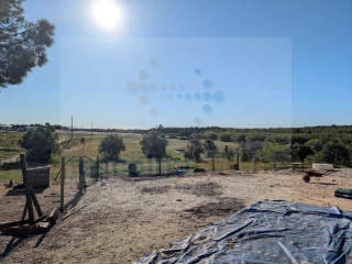 Image Slide