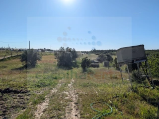 Image Slide