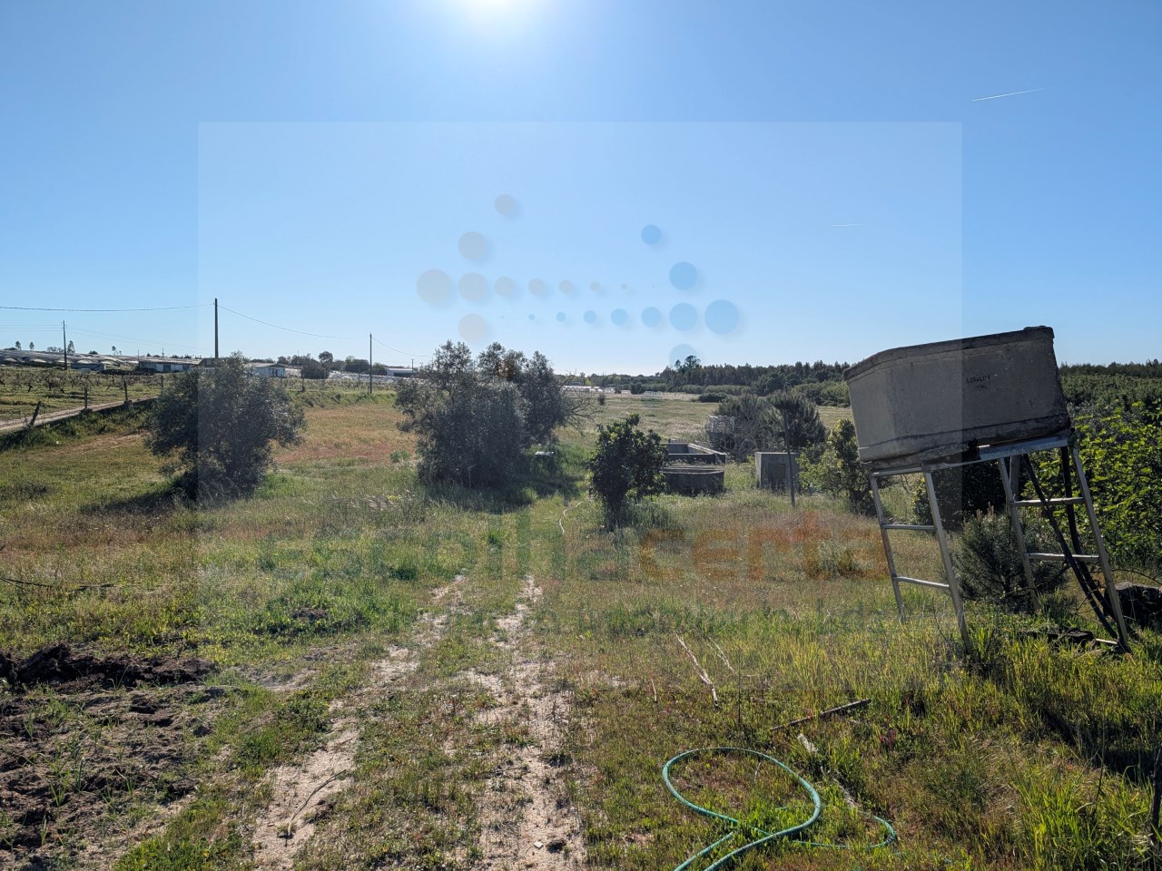 Image Slide
