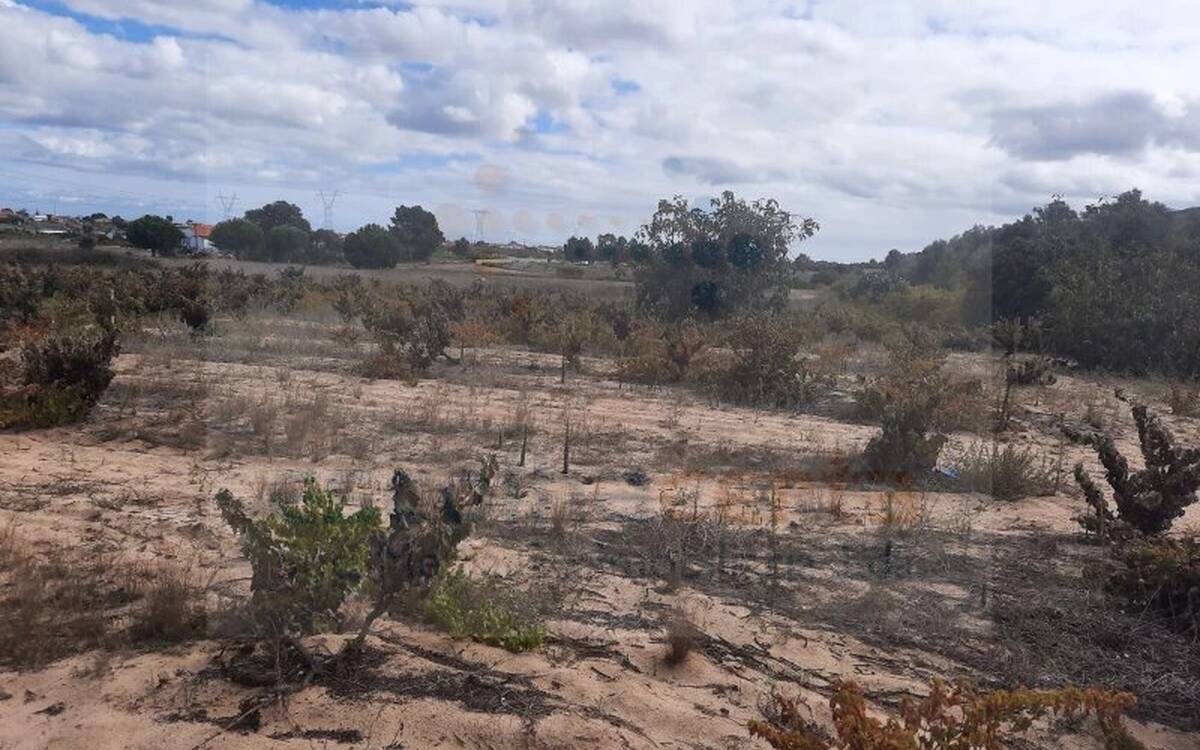 Image Slide
