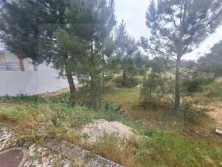 Image Slide