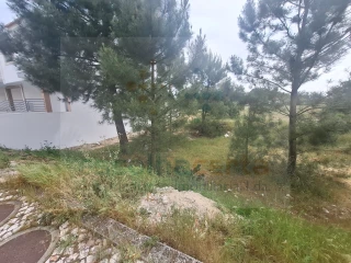 Image Slide