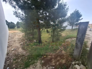 Image Slide