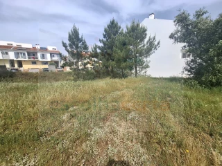 Image Slide