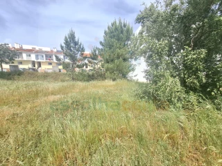 Image Slide