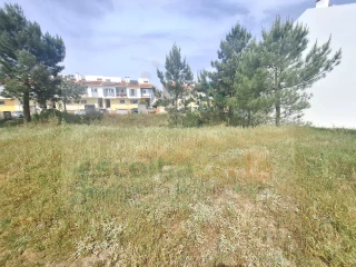 Image Slide