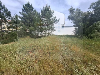 Image Slide