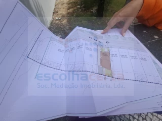 Image Slide