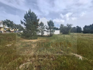 Image Slide