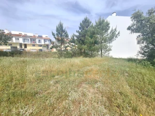 Image Slide