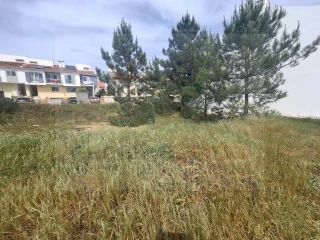 Image Slide