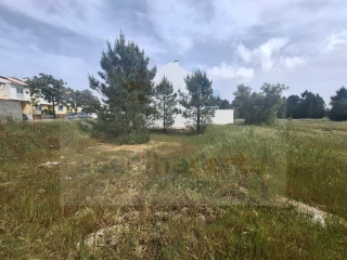 Image Slide